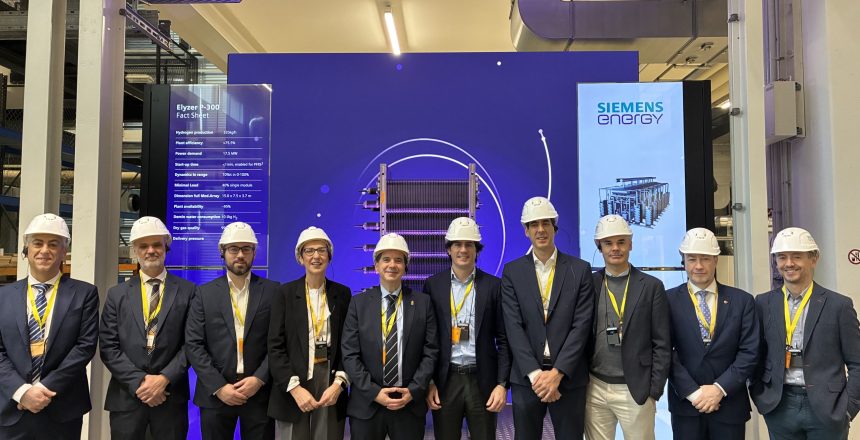 Siemens Energy visit - Government of Navarra VII